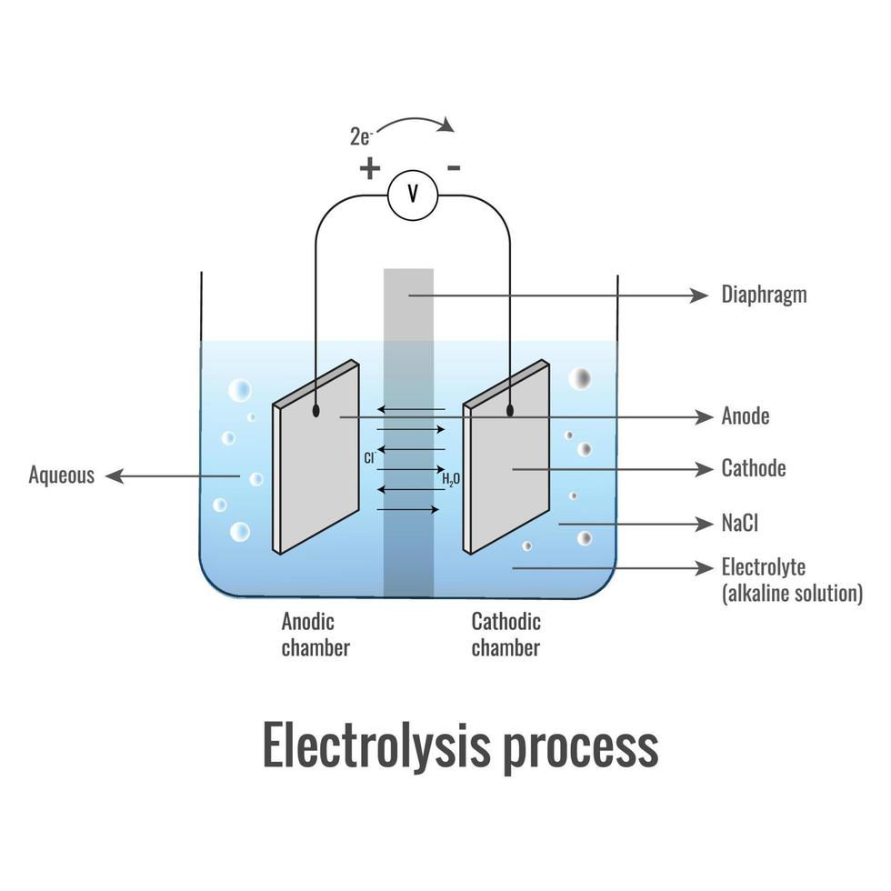 Electrolysis of Sodium Chloride solution vector