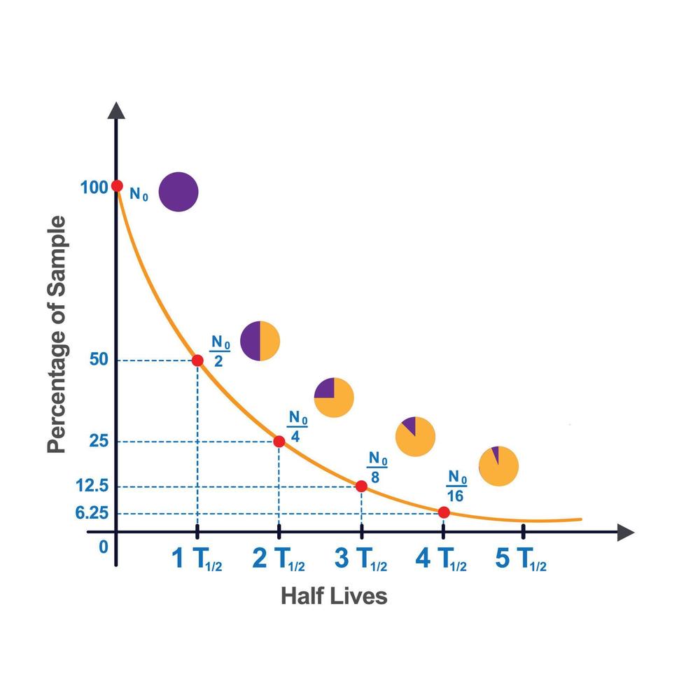 half life curve in nuclear chemistry Vevtor illustration vector