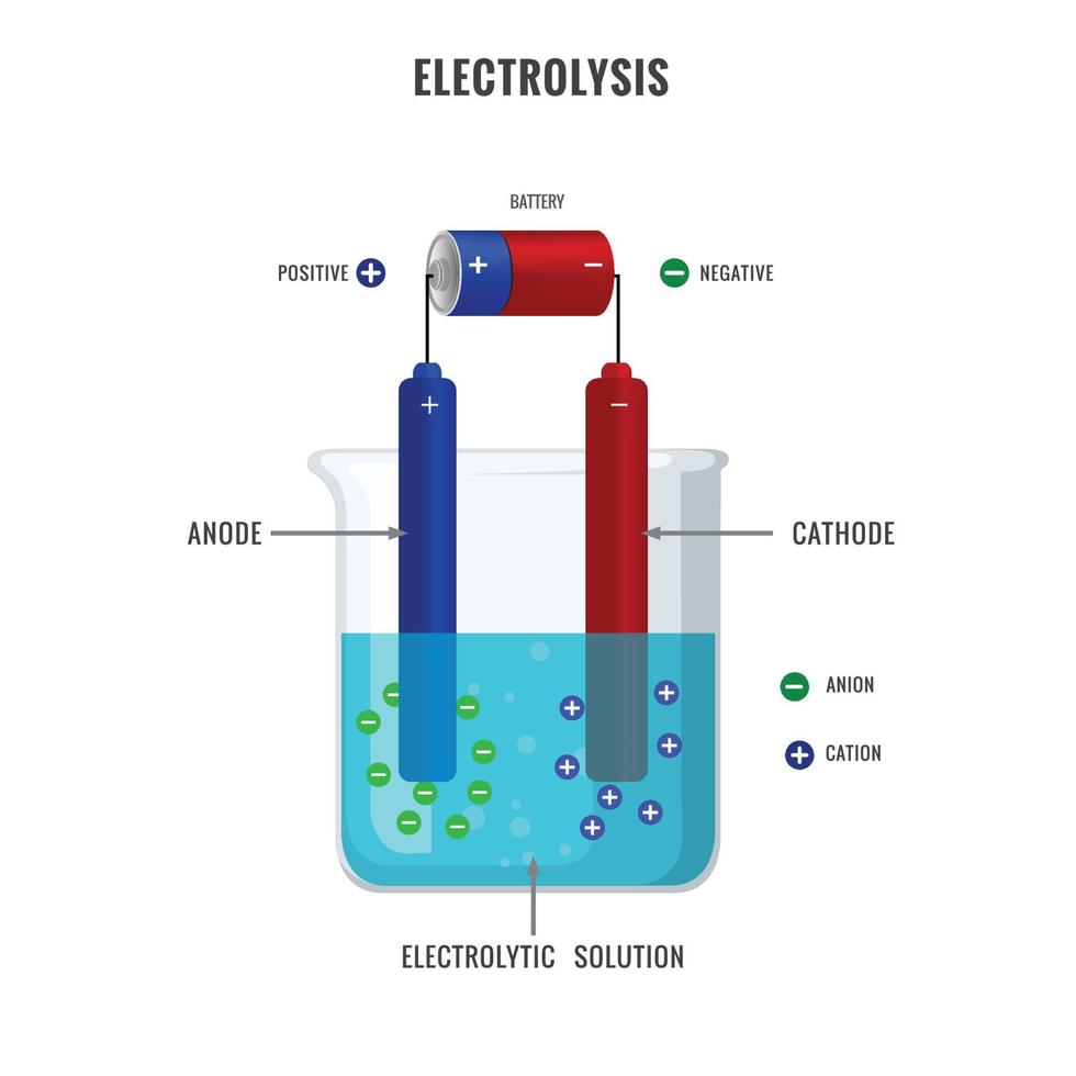 Electrolysis of electrolyte solution in electrochemistry vector illustration