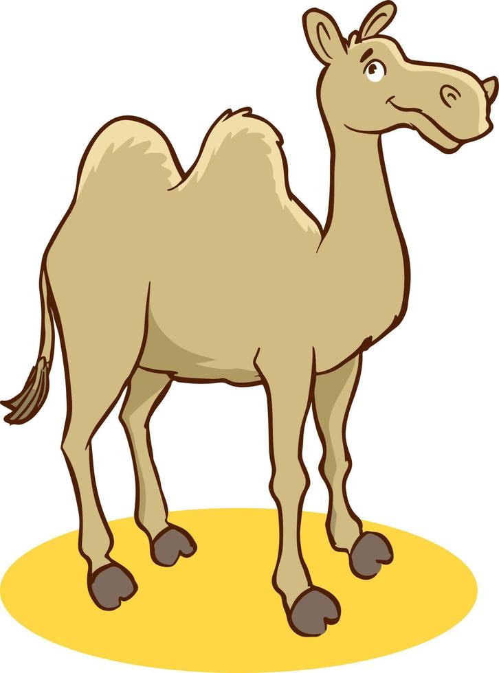 camel cartoon vector illustration isolated on white background.