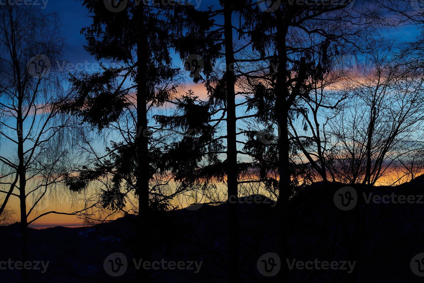 Landscape of trees in silhouette in the hills after sunset photo