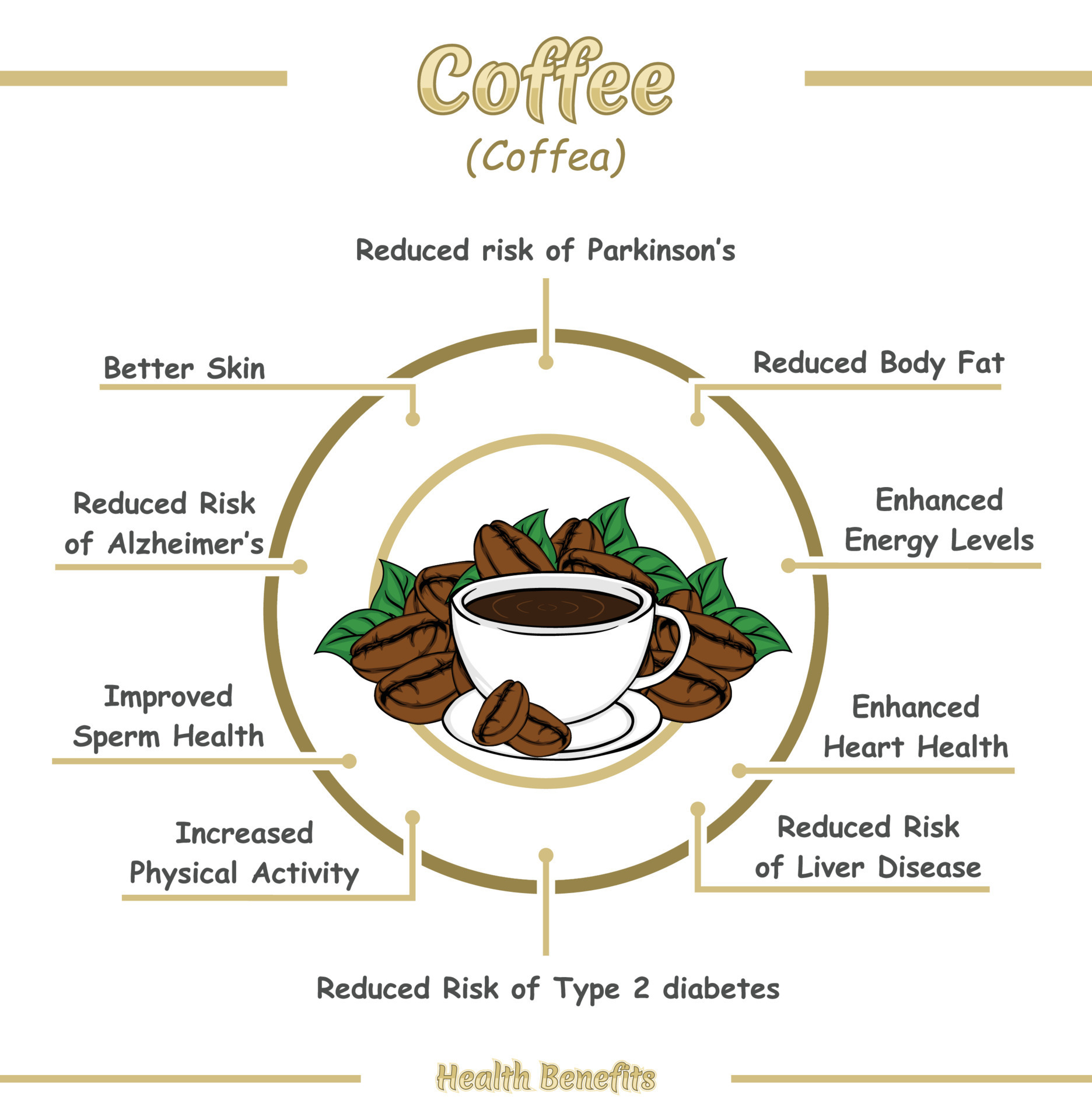 Health benefits of a cup of coffee 18892167 Vector Art at Vecteezy