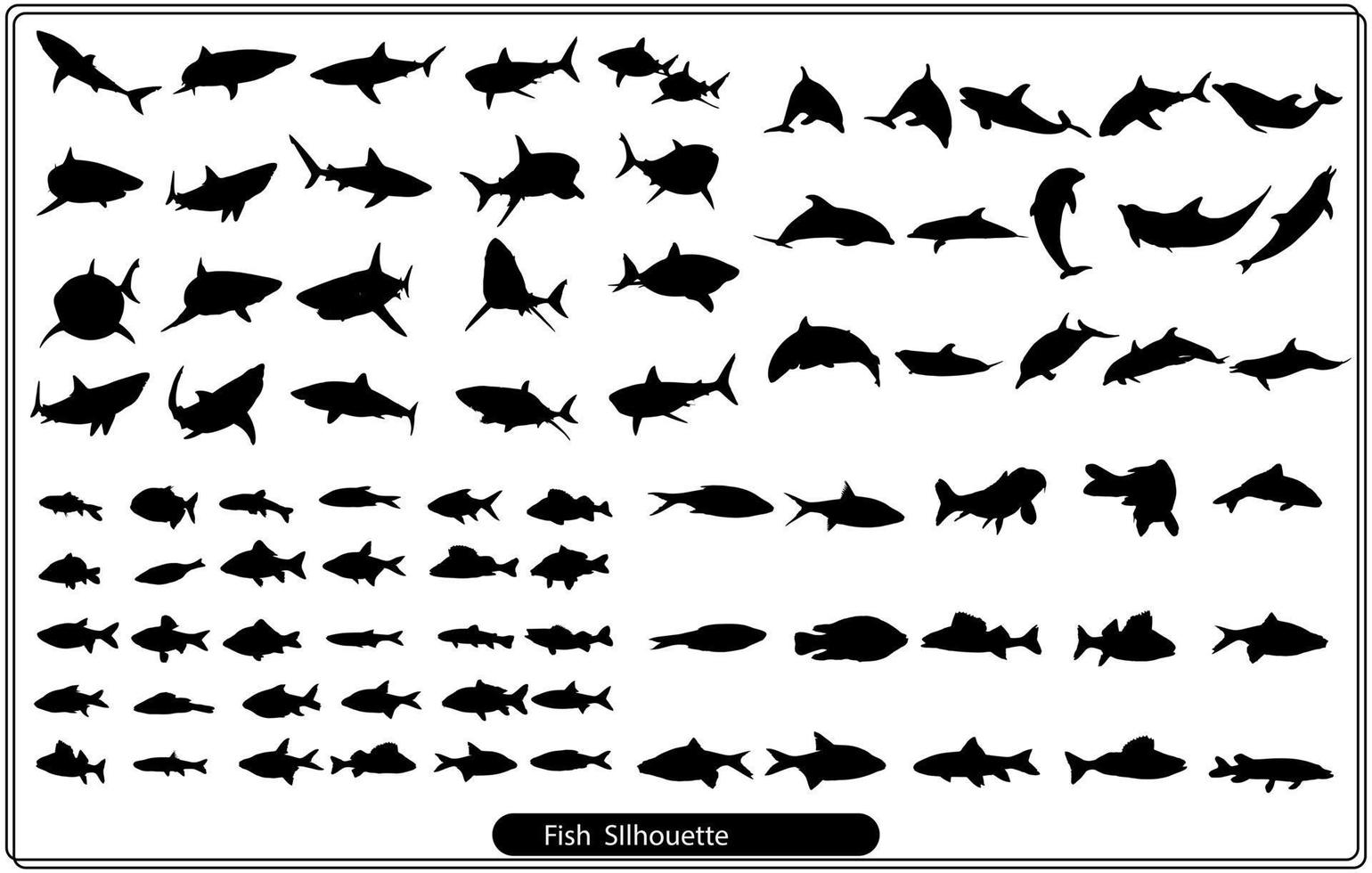 Clases y tipos de pescado. varios peces de agua dulce. ilustraciones vectoriales dibujadas a mano de diferentes tipos del interior. Más de cien siluetas. títulos nombres escritos en inglés. vector