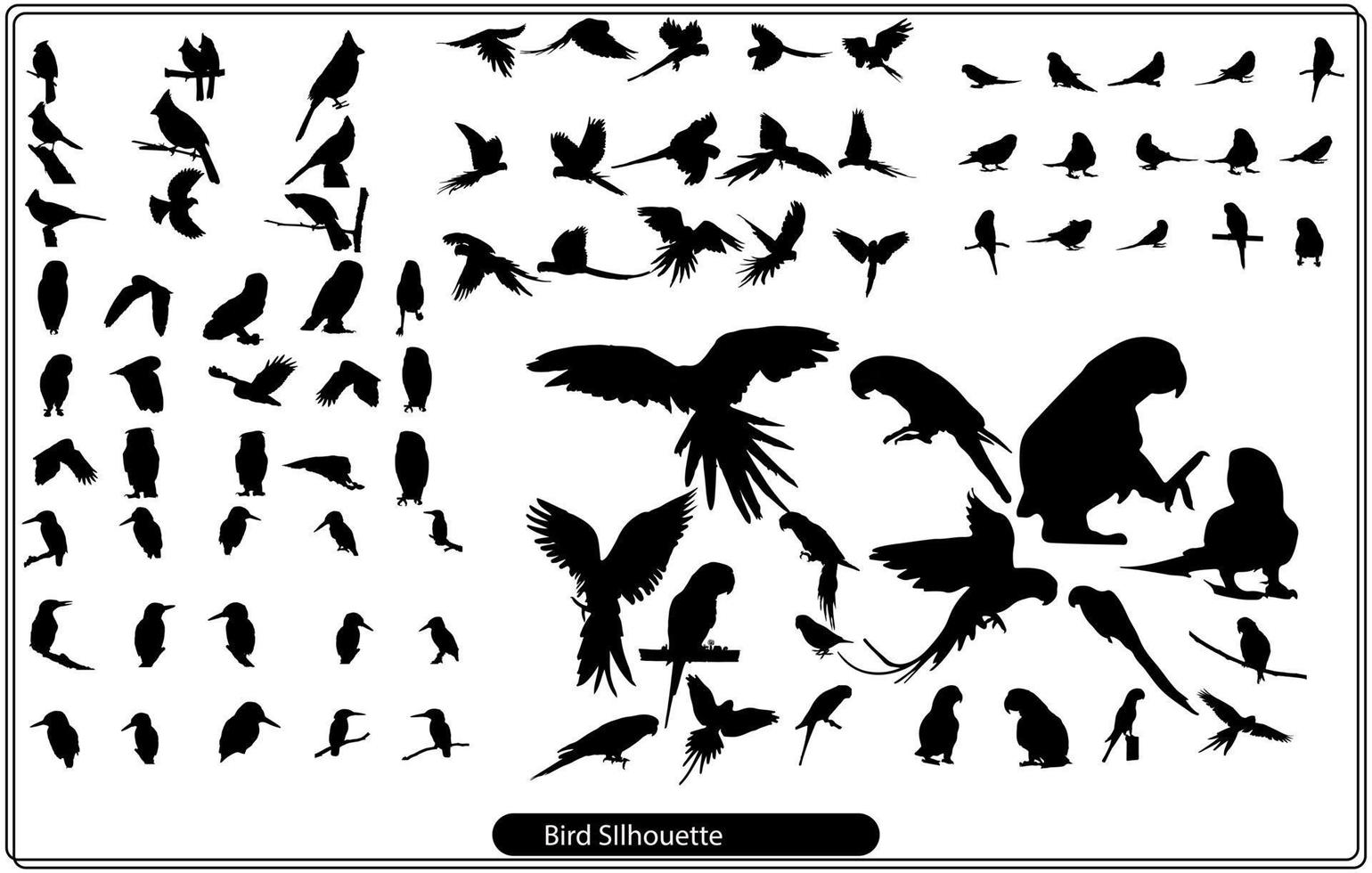 Set of black isolated silhouettes of crows. Collection of different birds position. vector