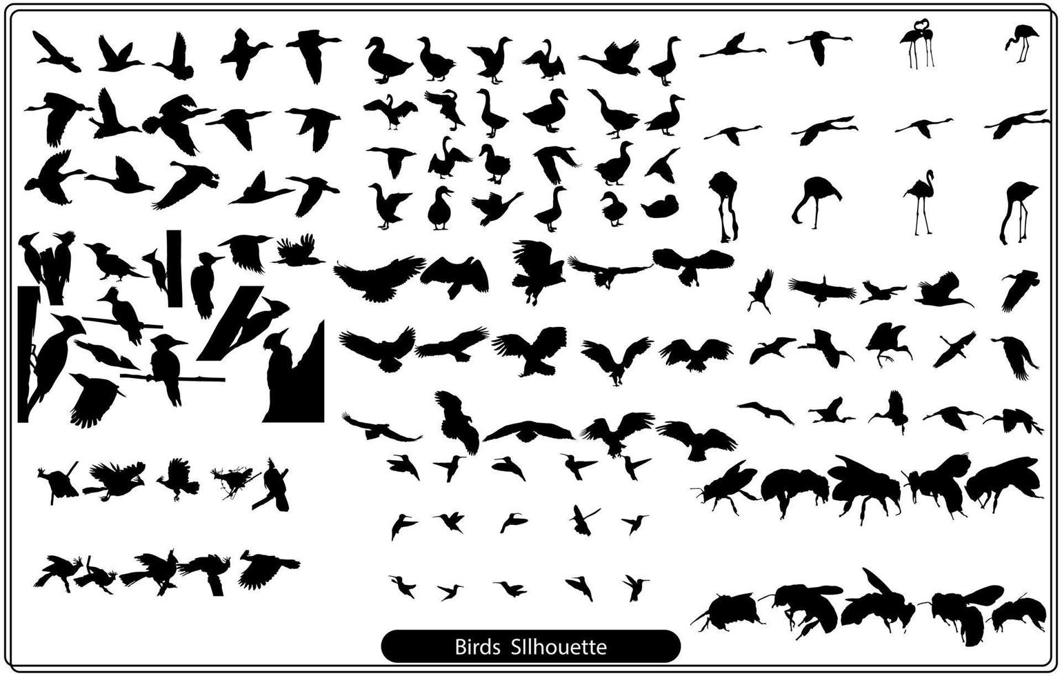 conjunto de siluetas negras aisladas de cuervos. colección de diferentes posiciones de aves. vector