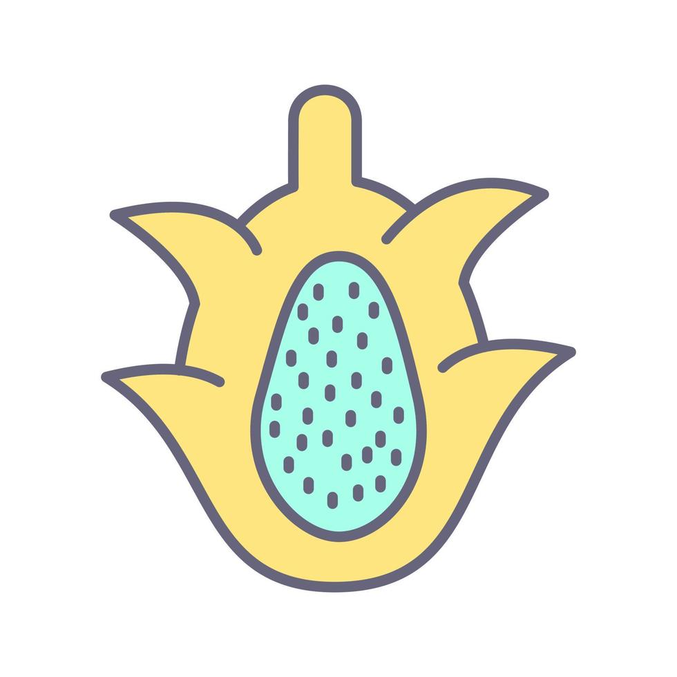 Dragon Fruit Vector Icon