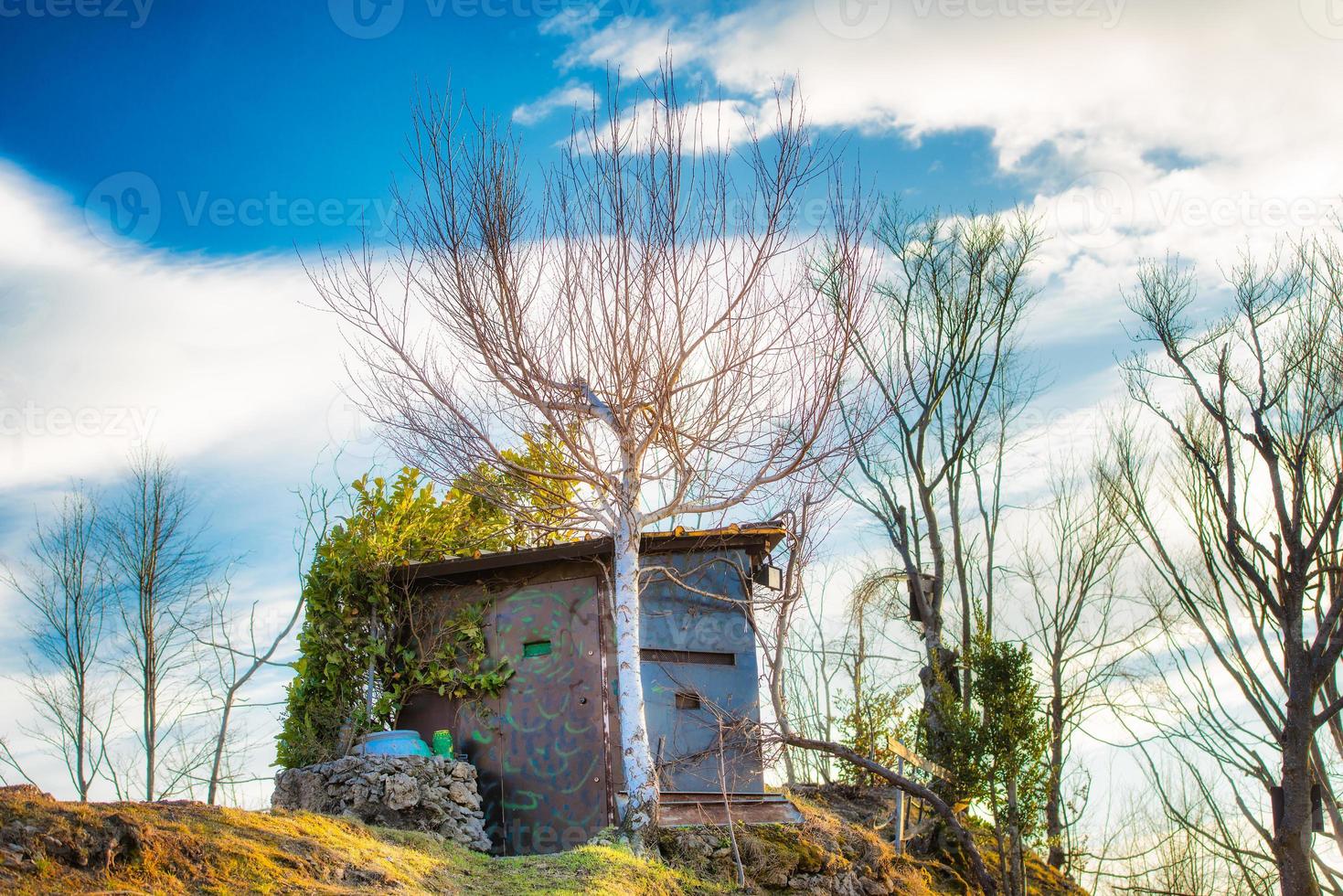 cabaña de caza camuflada en el prado entre plantas foto