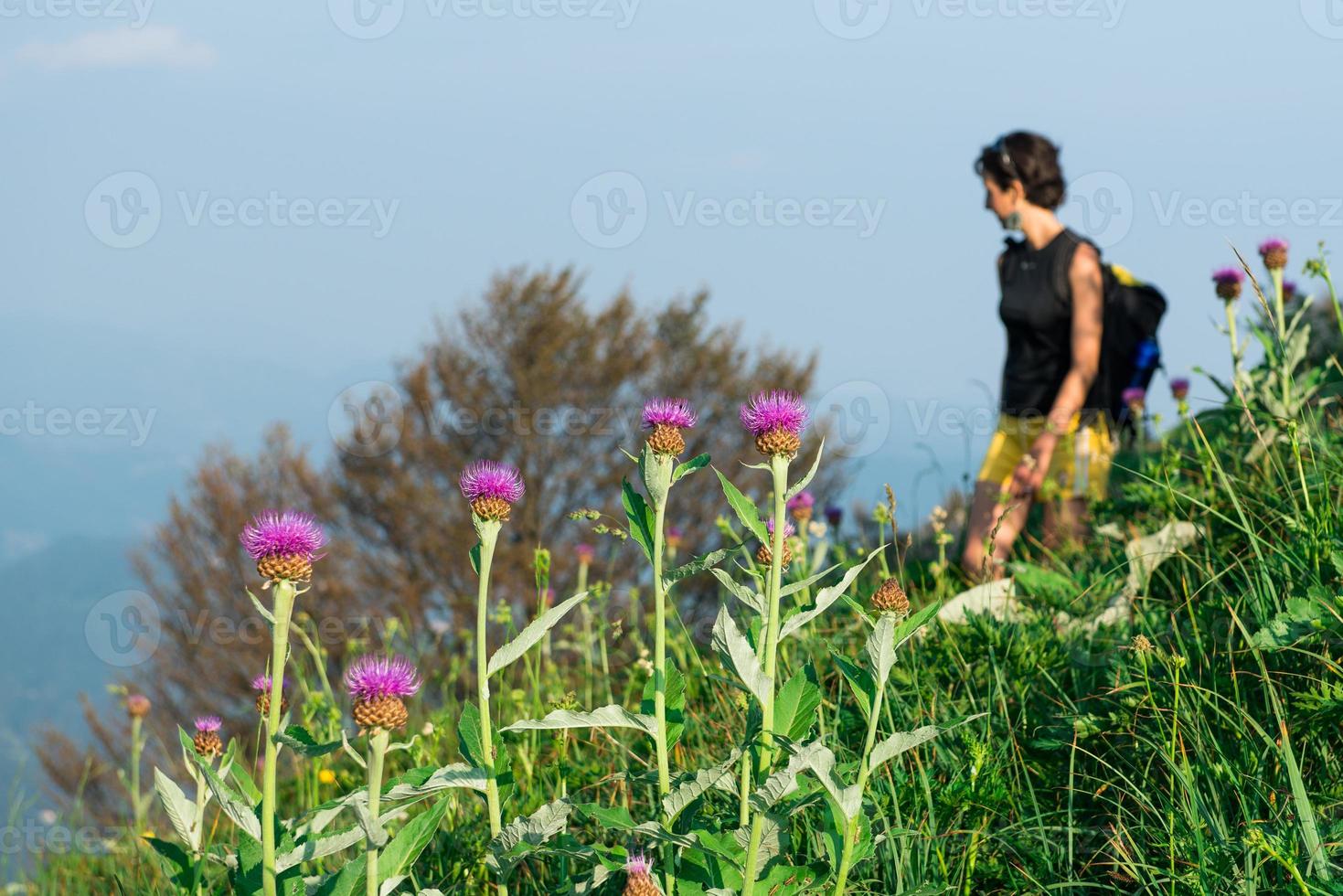 Mountain flowers with girl strolling photo