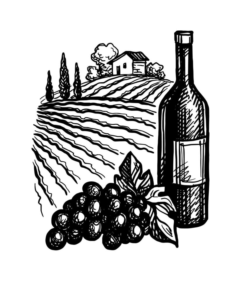 botellas de vino y racimo de uvas. paisaje de viñedos. vector