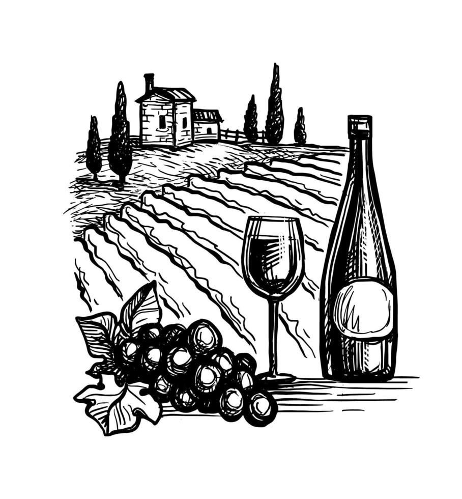 botellas de vino y vidrio. Racimo de uvas. paisaje de viñedos. vector