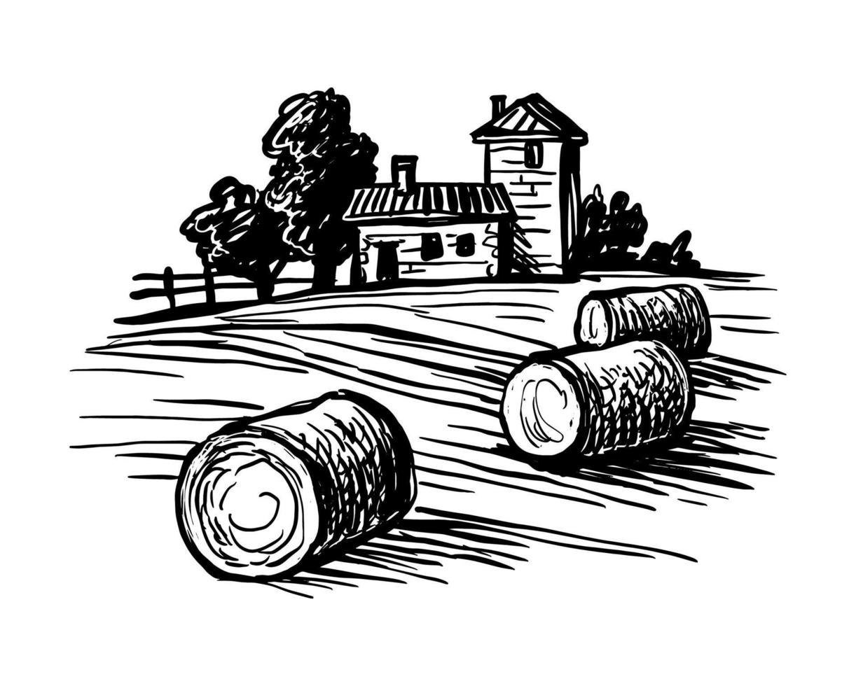 Rural landscape with hay bales. vector