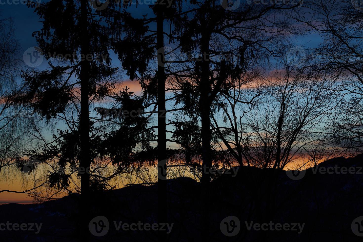 Red and blue sunset colors with trees in siulette photo