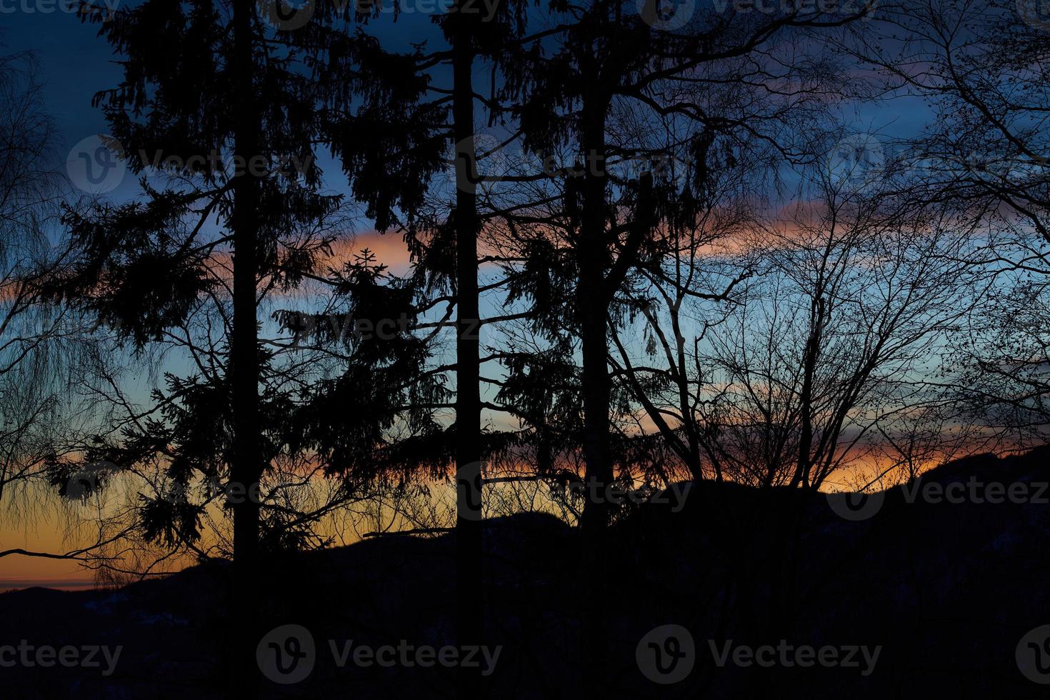 colores rojos y azules del atardecer con árboles en siulette foto