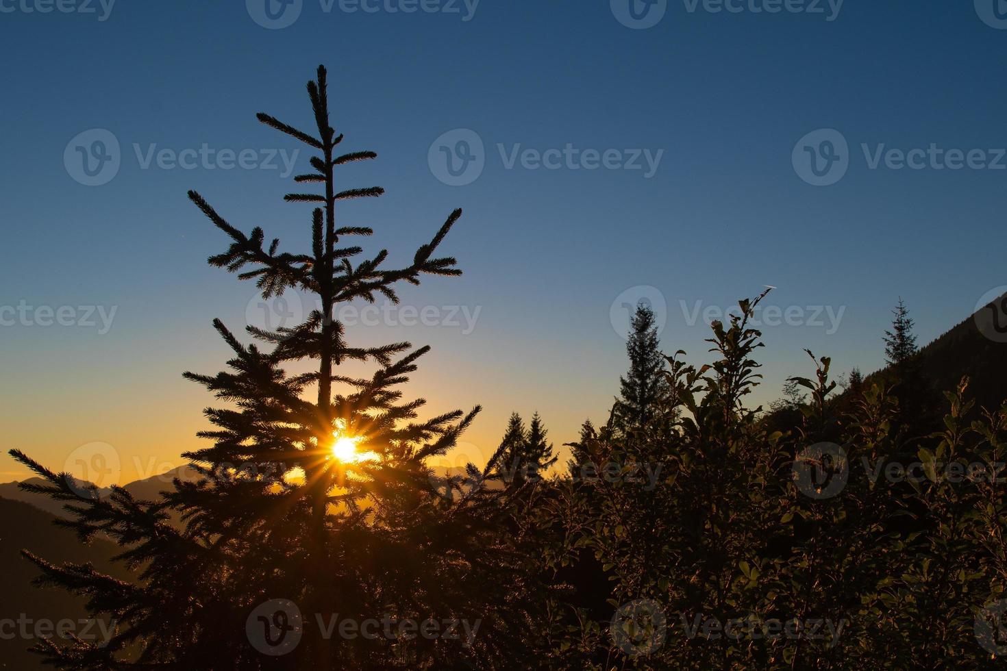 Sun in the mountain pines at sunset photo