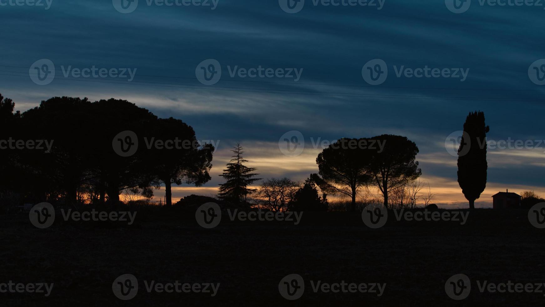 Tuscany Italy. Cypresses and other plants in evening silhouette at sunset photo