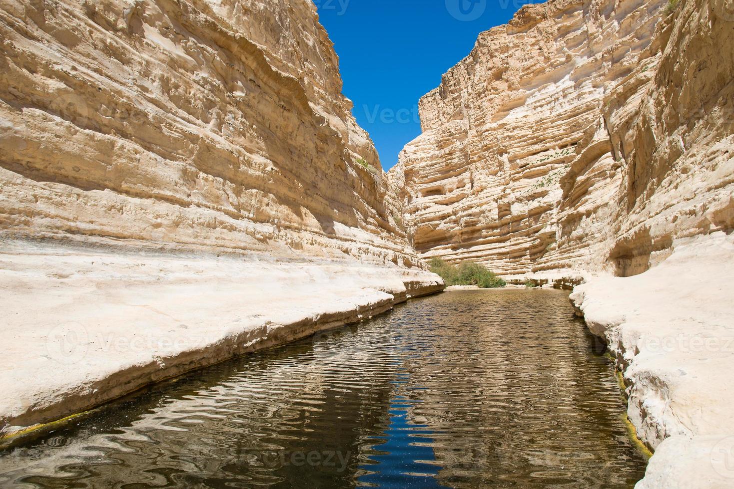 Canyon Ein-Avdat in the Negev desert. Fresh water flowing in the river canyon. Sandstone walls. photo