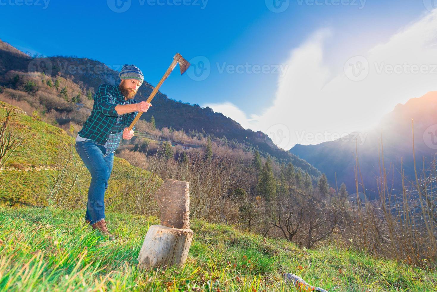 A lumberjack with a beard cuts a log photo