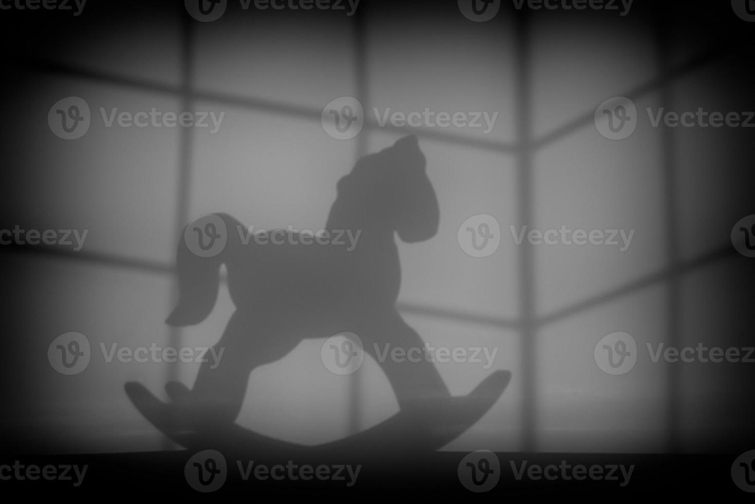 Shadow of a newborn baby horse photo