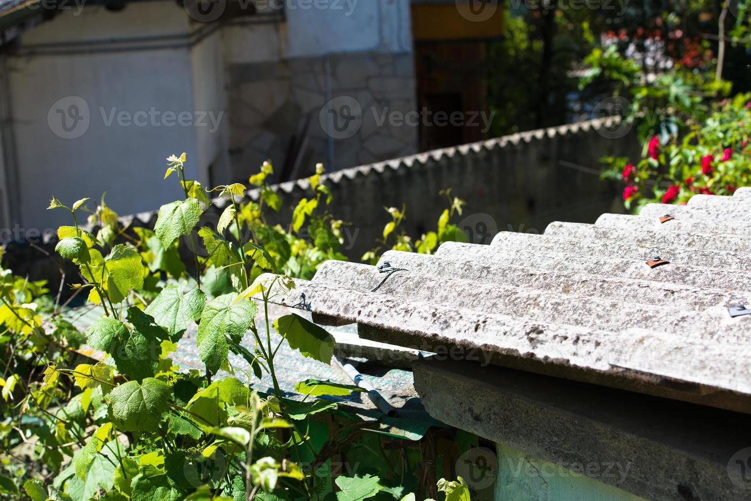 Roof asbestos discontinued photo