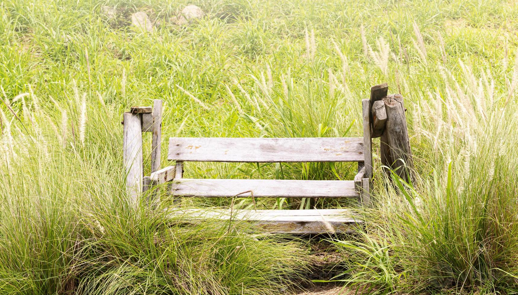 Outdoor wooden chair in garden photo