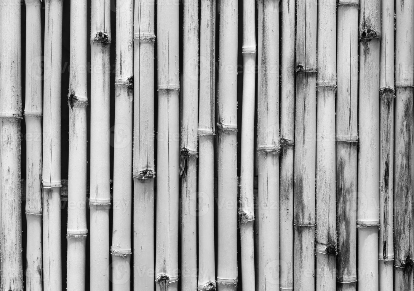 Texture white bamboo wood wall pattern background photo