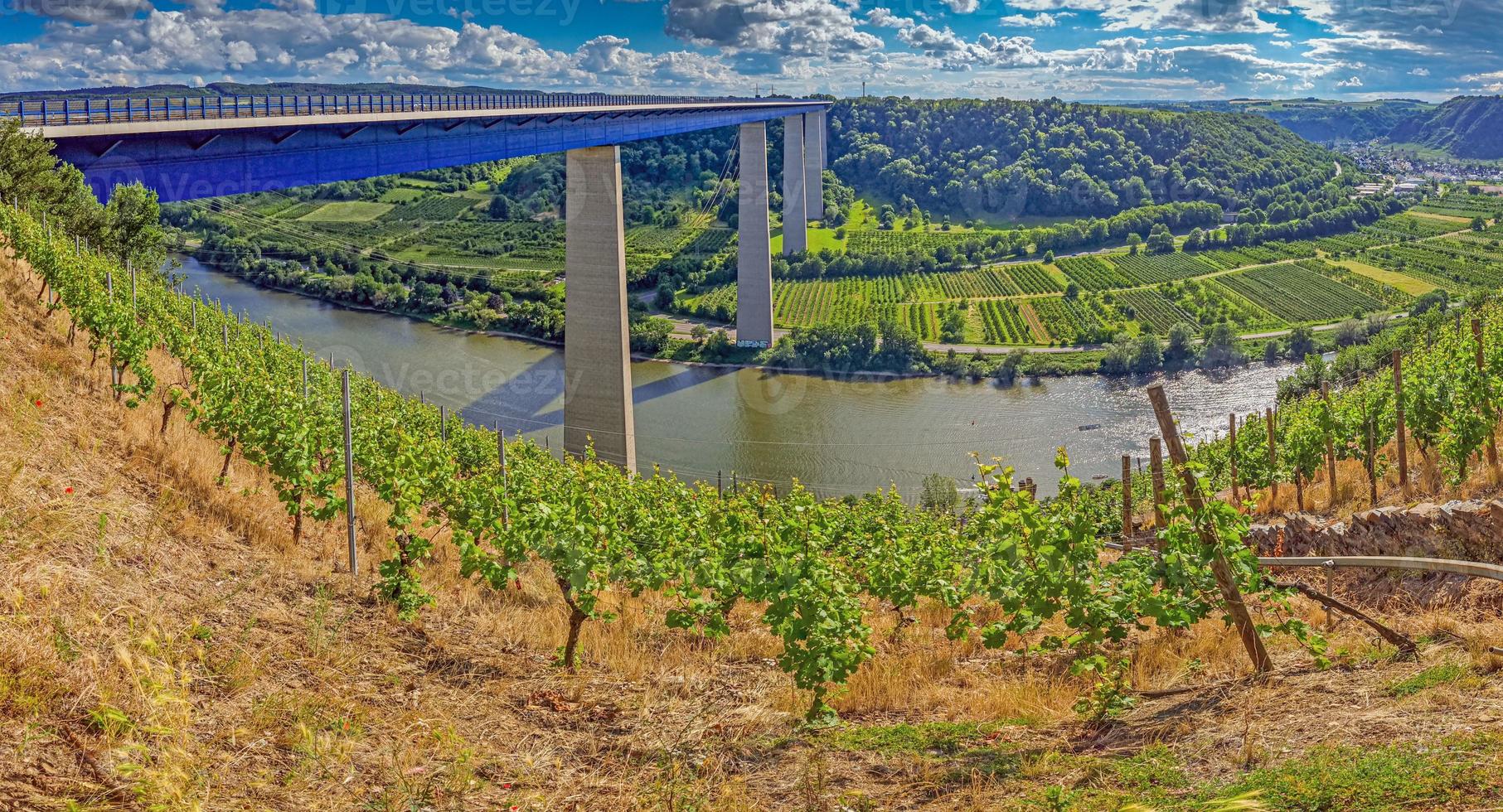 Picture of Mosel valley bridge in Germany with vineyards photo