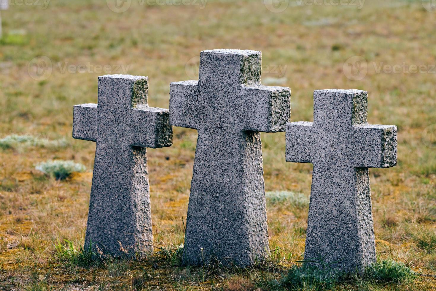 Stone crosses in German military cemetery, Russia, Europe photo