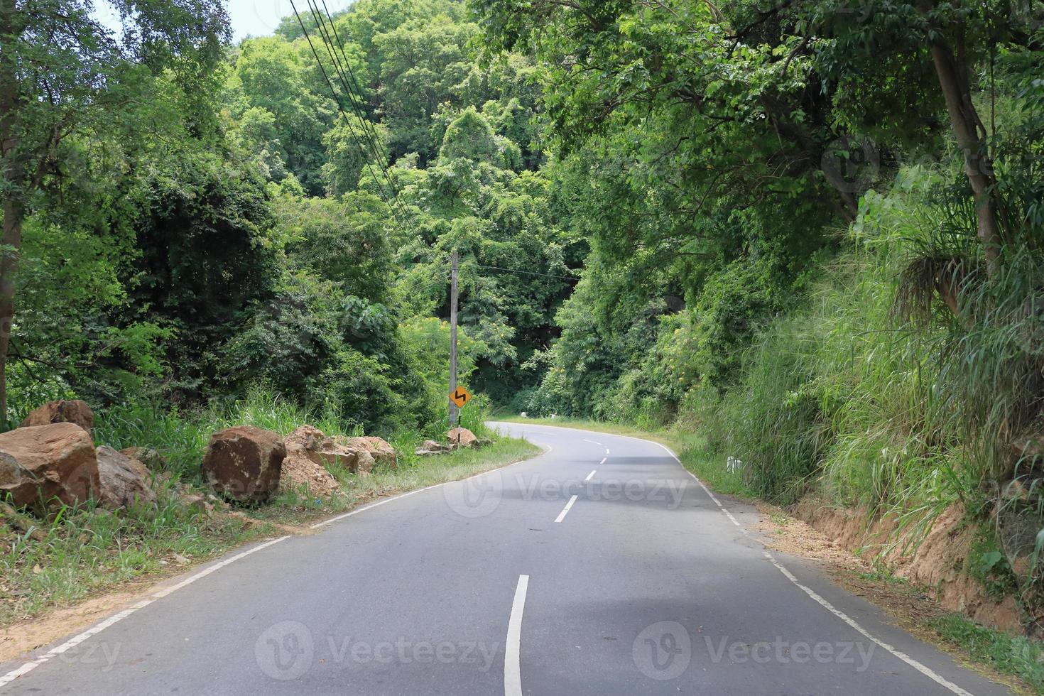 A beautiful fall trees with road drive through a forrest  Winding curve road in a green forest photo