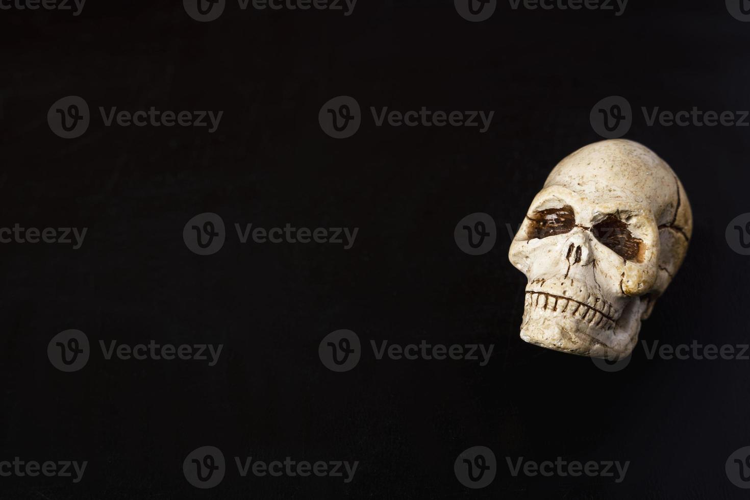 A close-up model of a human skull on a black background, copying space photo