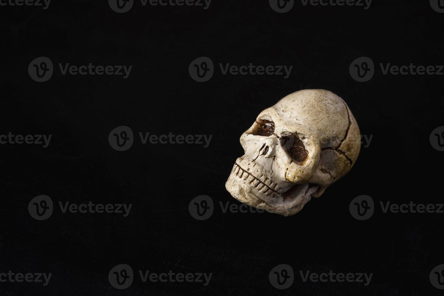 A close-up model of a human skull on a black background, copying space photo