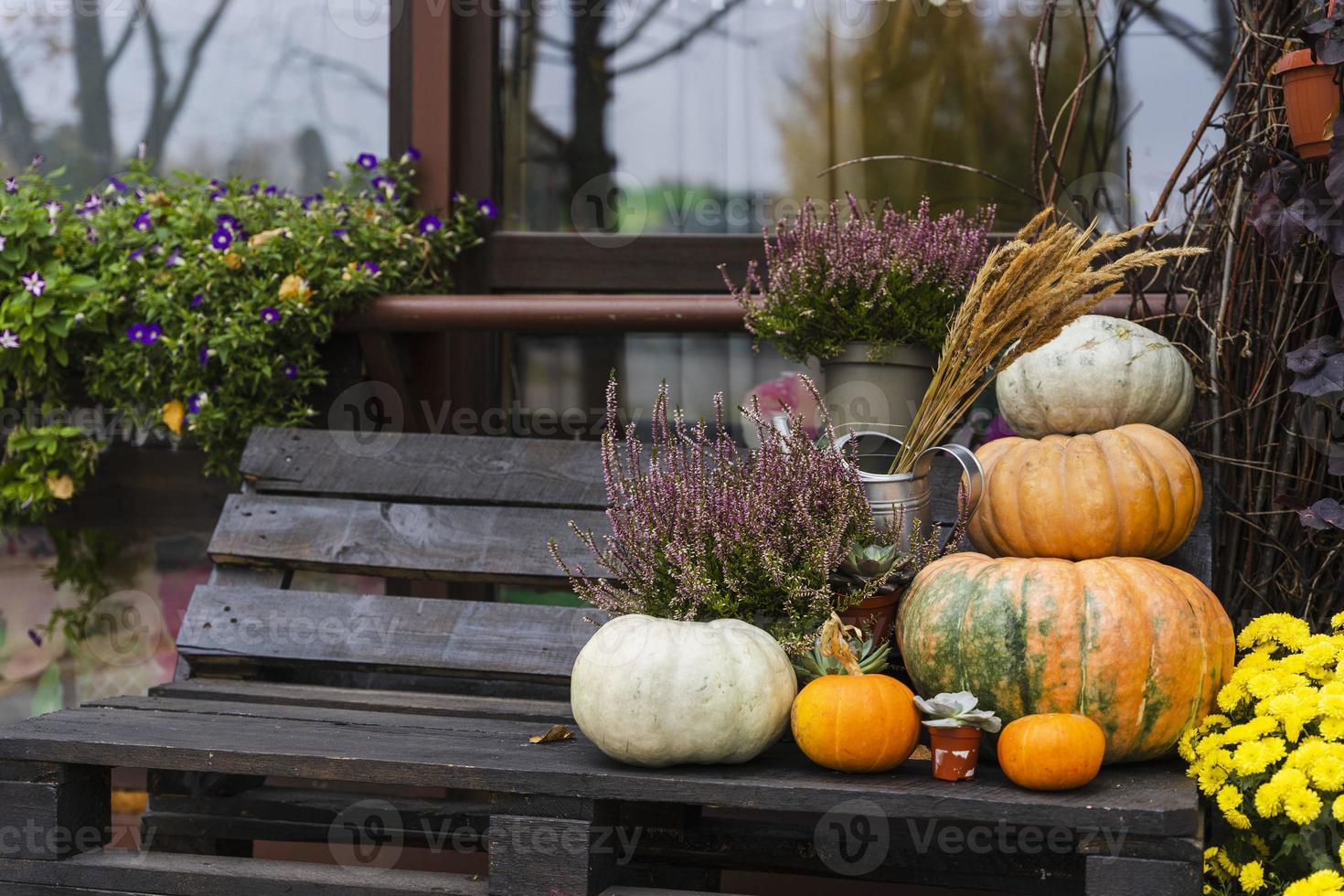 Pumpkin composition, Happy Thanksgiving. Stylish pumpkins, purple and yellow flowers, heather on a wooden background. photo