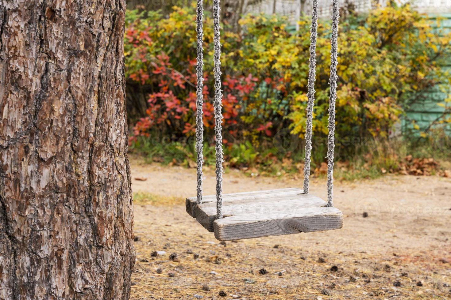 children's rope swing hanging alone and motionless under a tree, childhood, nostalgia, memories photo