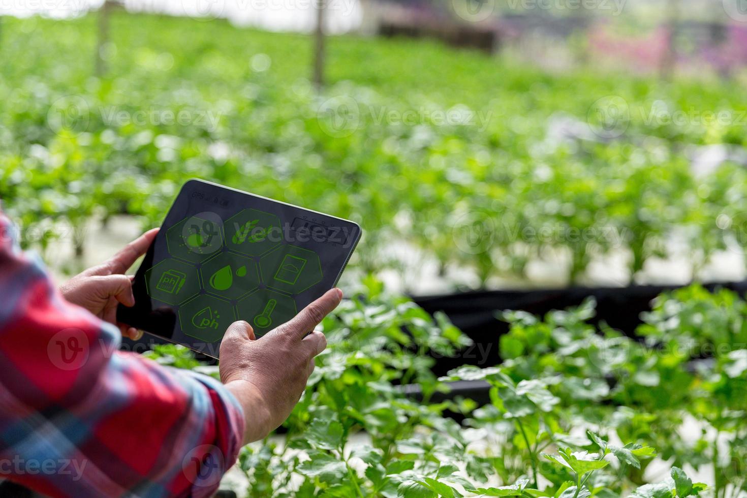 IoT, Internet of Things Modern agriculture smart farming system concept. Internet technology that connects devices and tools. digital computer manage control vegetable farm in agricultural industry. photo