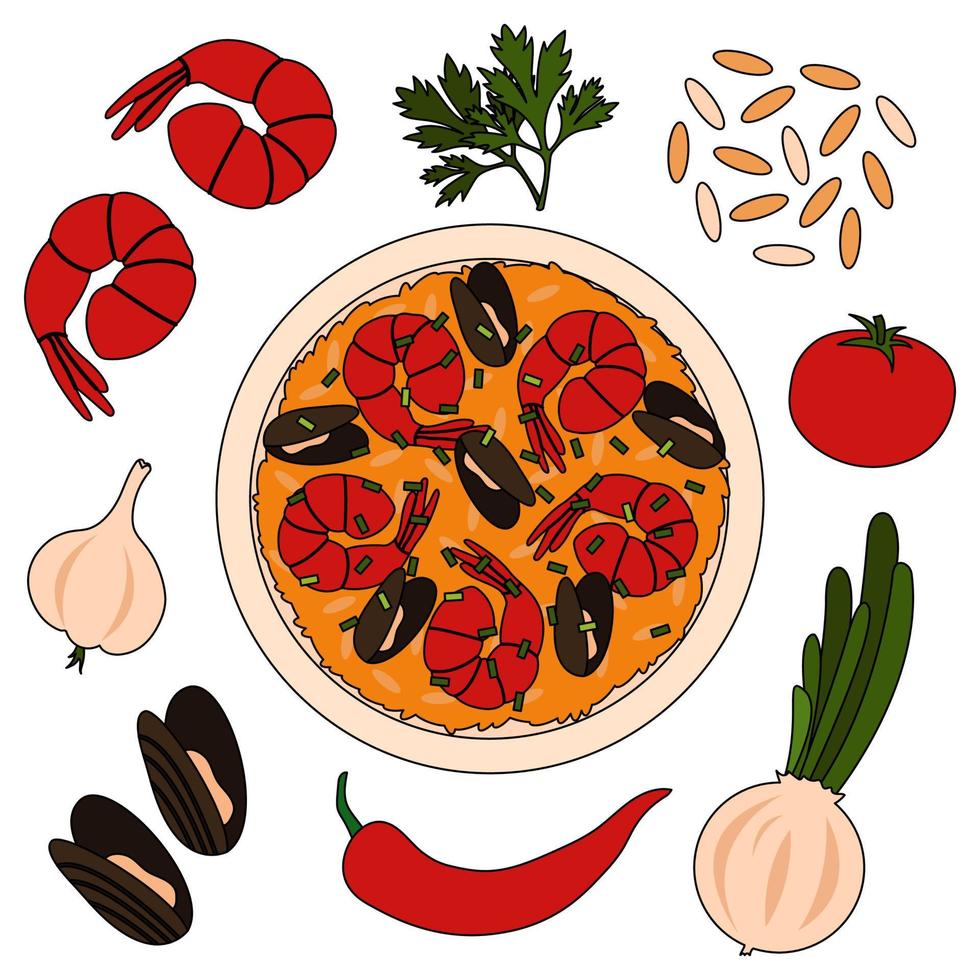 Paella recipe with ingredients - shrimps, rice, mussels, garlic, tomato, chili pepper and onion. vector