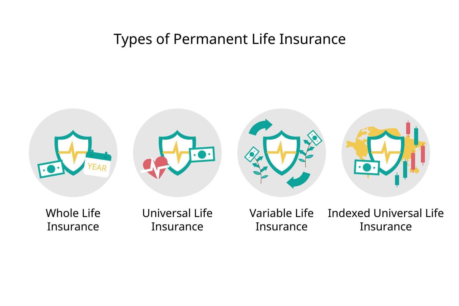 types of permanent life insurance for cash value life insurance of whole life, standard universal life insurance, variable and indexed type vector