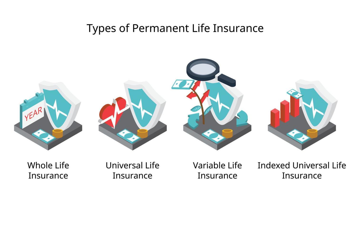 types of permanent life insurance for cash value life insurance of whole life, standard universal life insurance, variable and indexed type vector