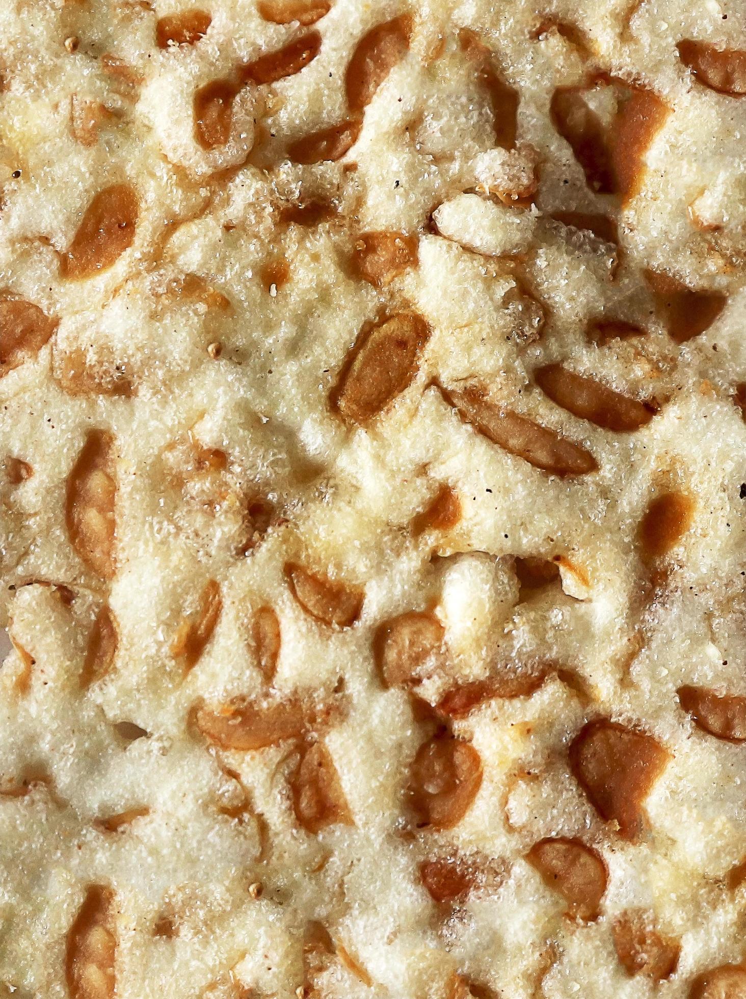 Abstract texture of tempeh fermented soybeans. Closeup texture of