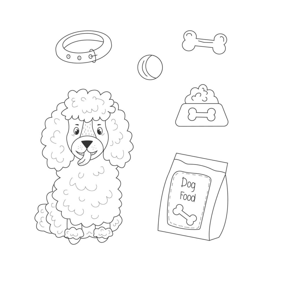 Line poodle sitting with  and toys and dog food on isolated background vector