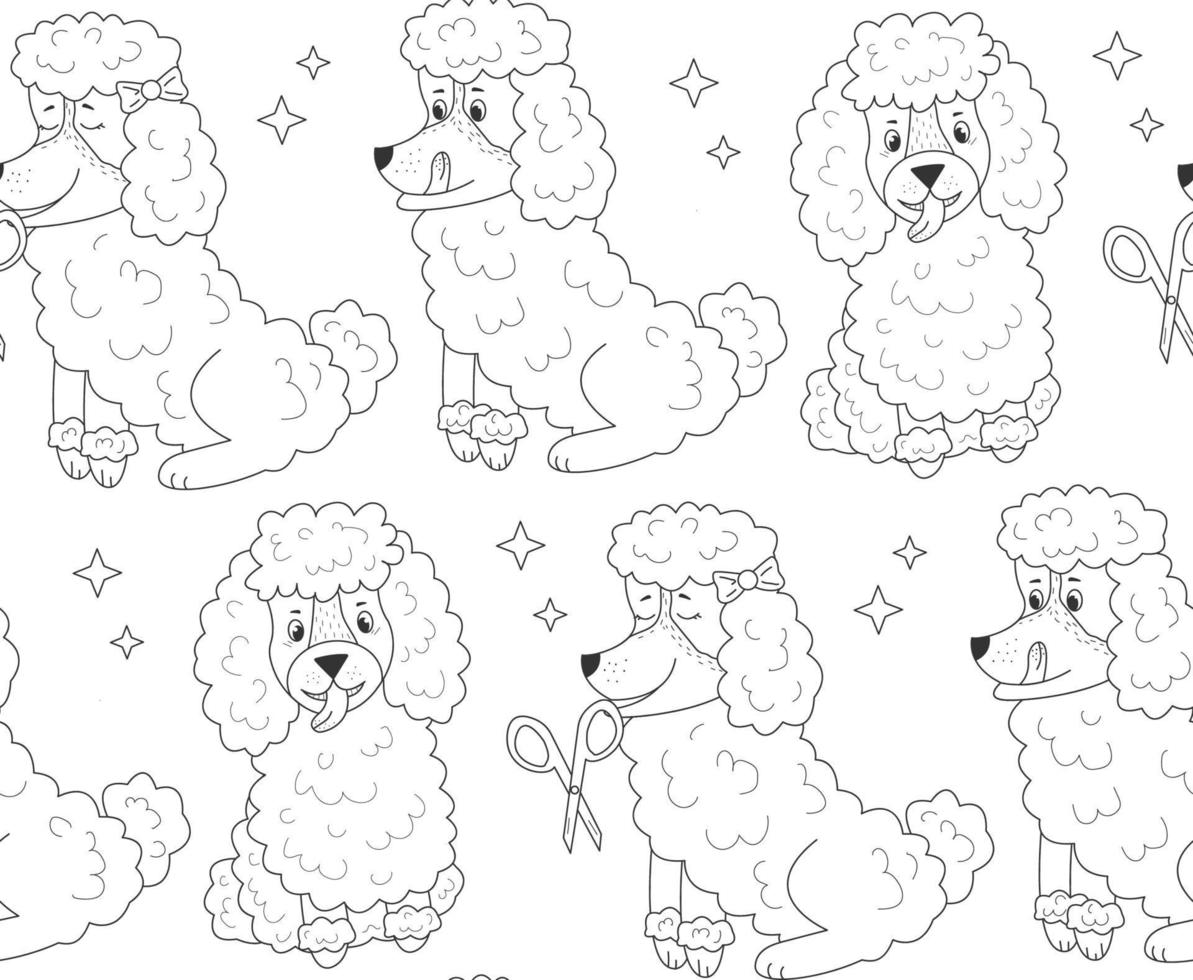 Pattern different poodle  and star on isolated background vector