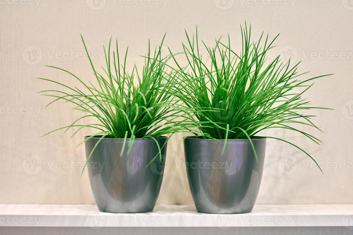 Two artificial green plants pot on shelf photo