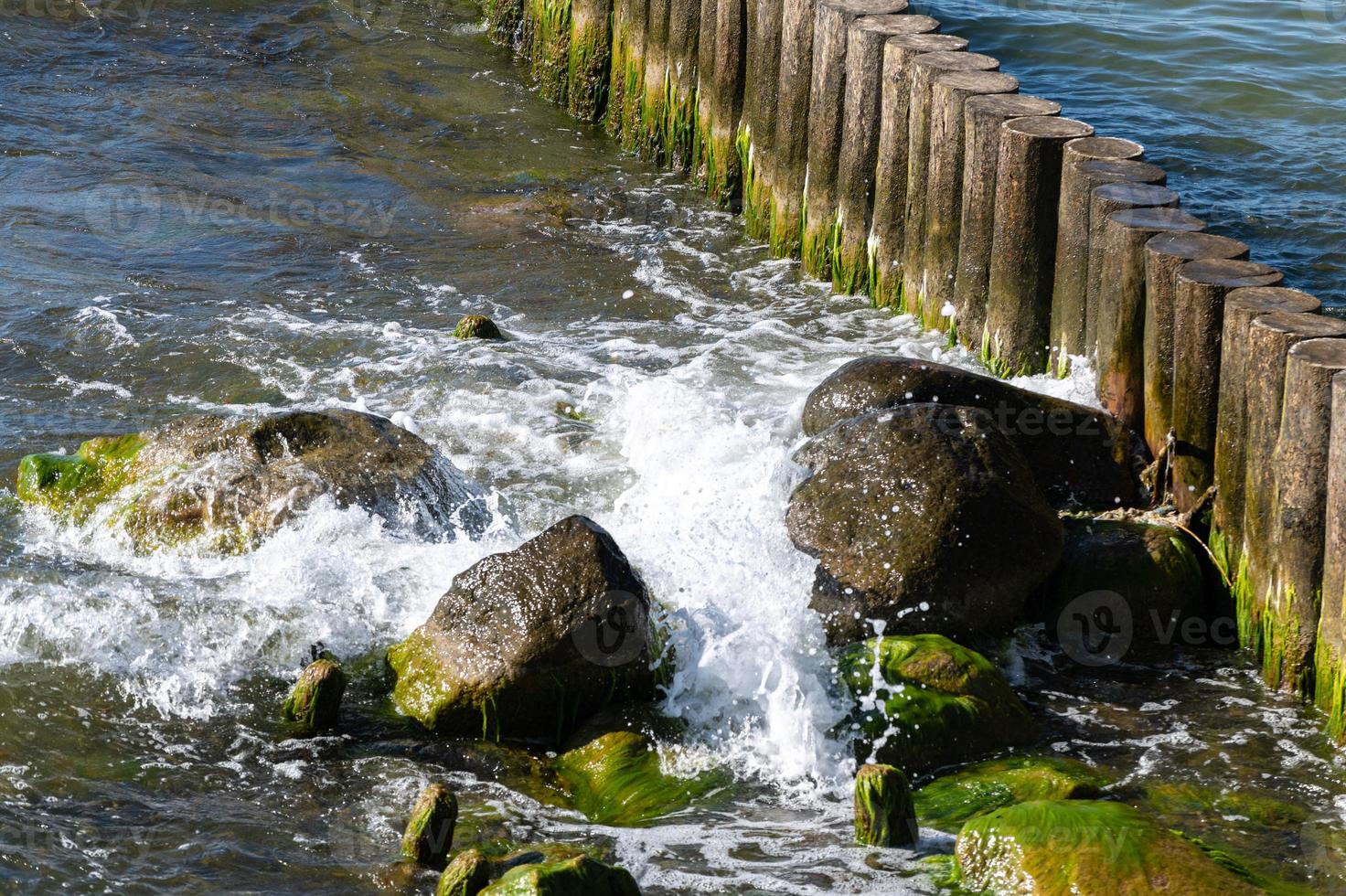 Sea tidal bore. Waves break on stones overgrown by moss and algae. Beautiful seascape. photo