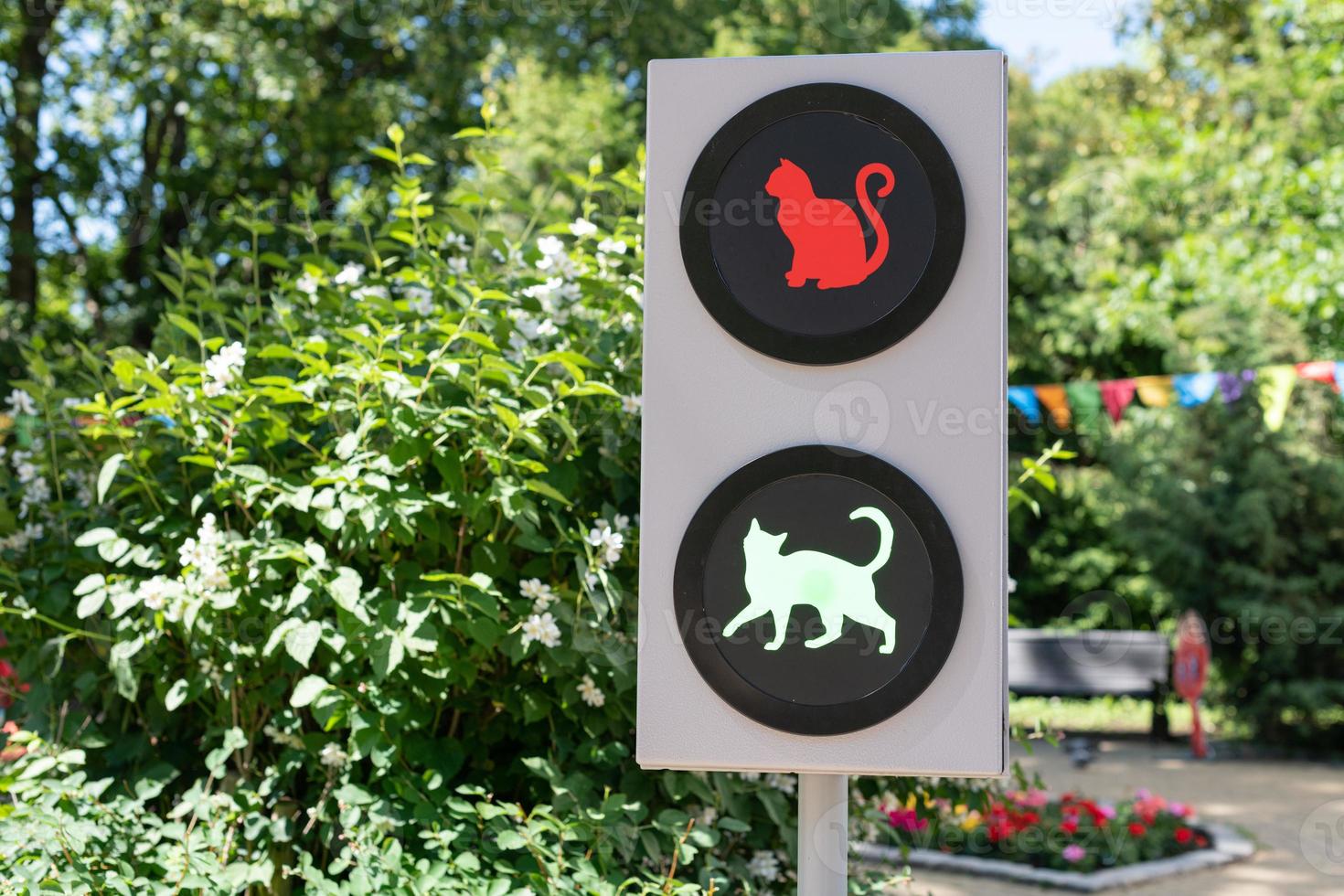 semáforo con gatos. divertido concepto de semáforo para niños y padres en el jardín de la ciudad. luz verde encendida foto