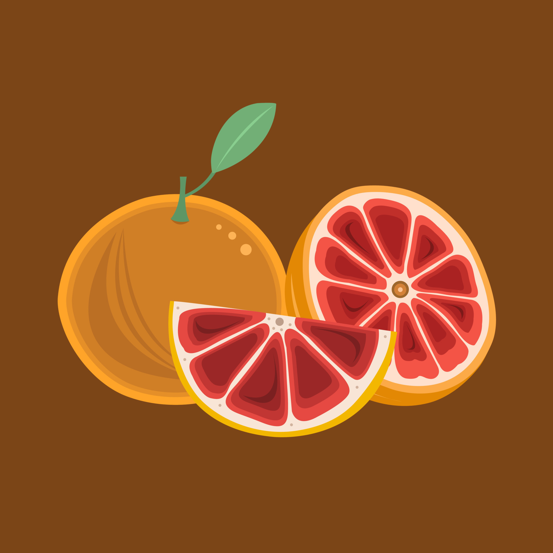 Grapefruit vector illustration for graphic design and decorative