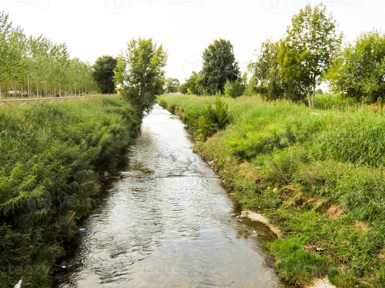 View of scenic woods and river photo