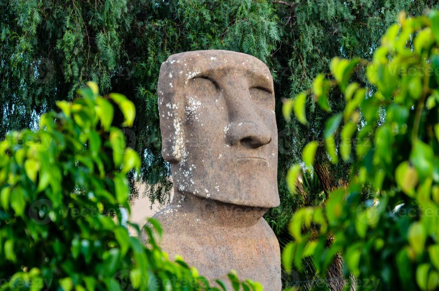 cabeza de piedra moai foto