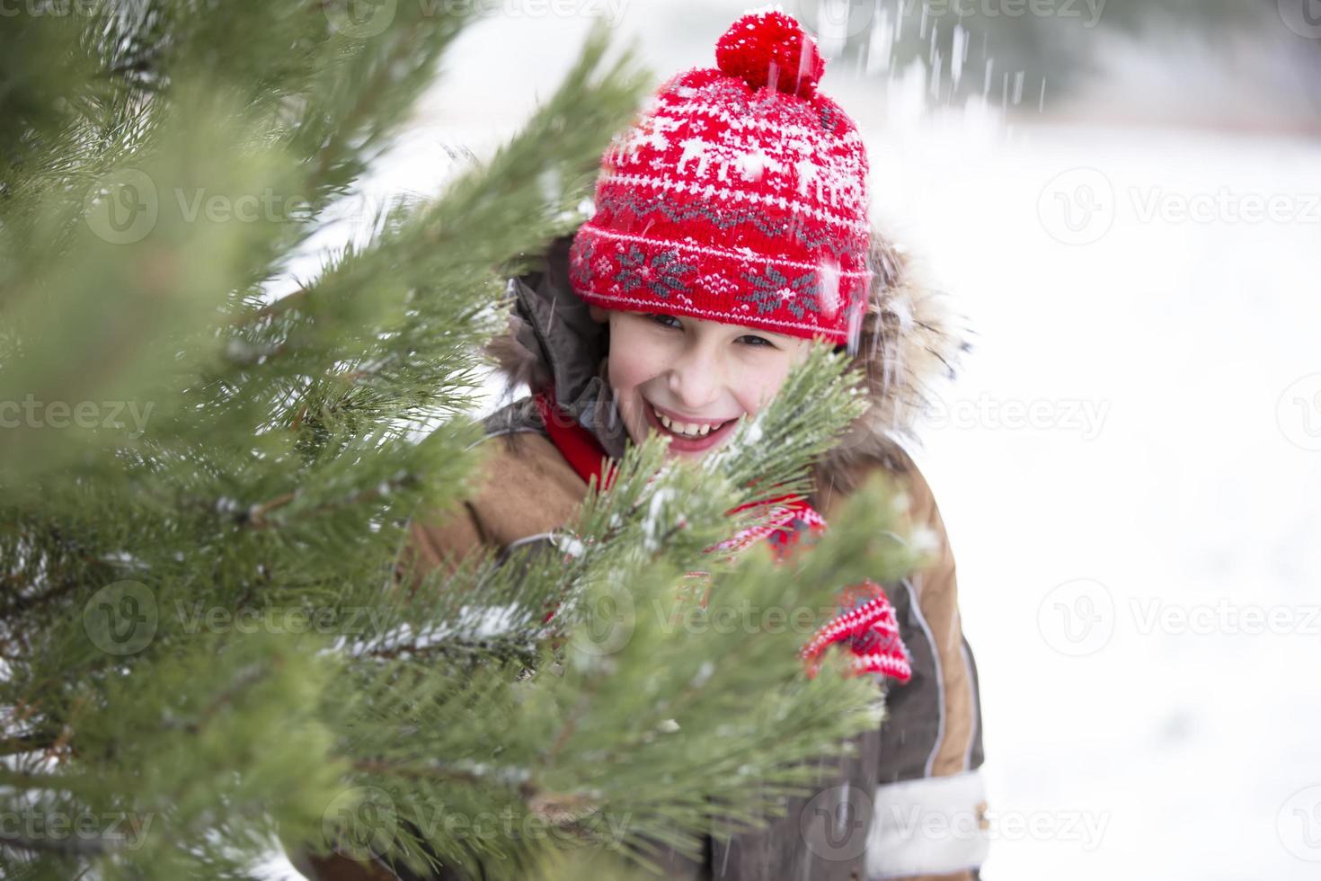 Funny little boy among the snow-covered Christmas trees. Child in winter. photo