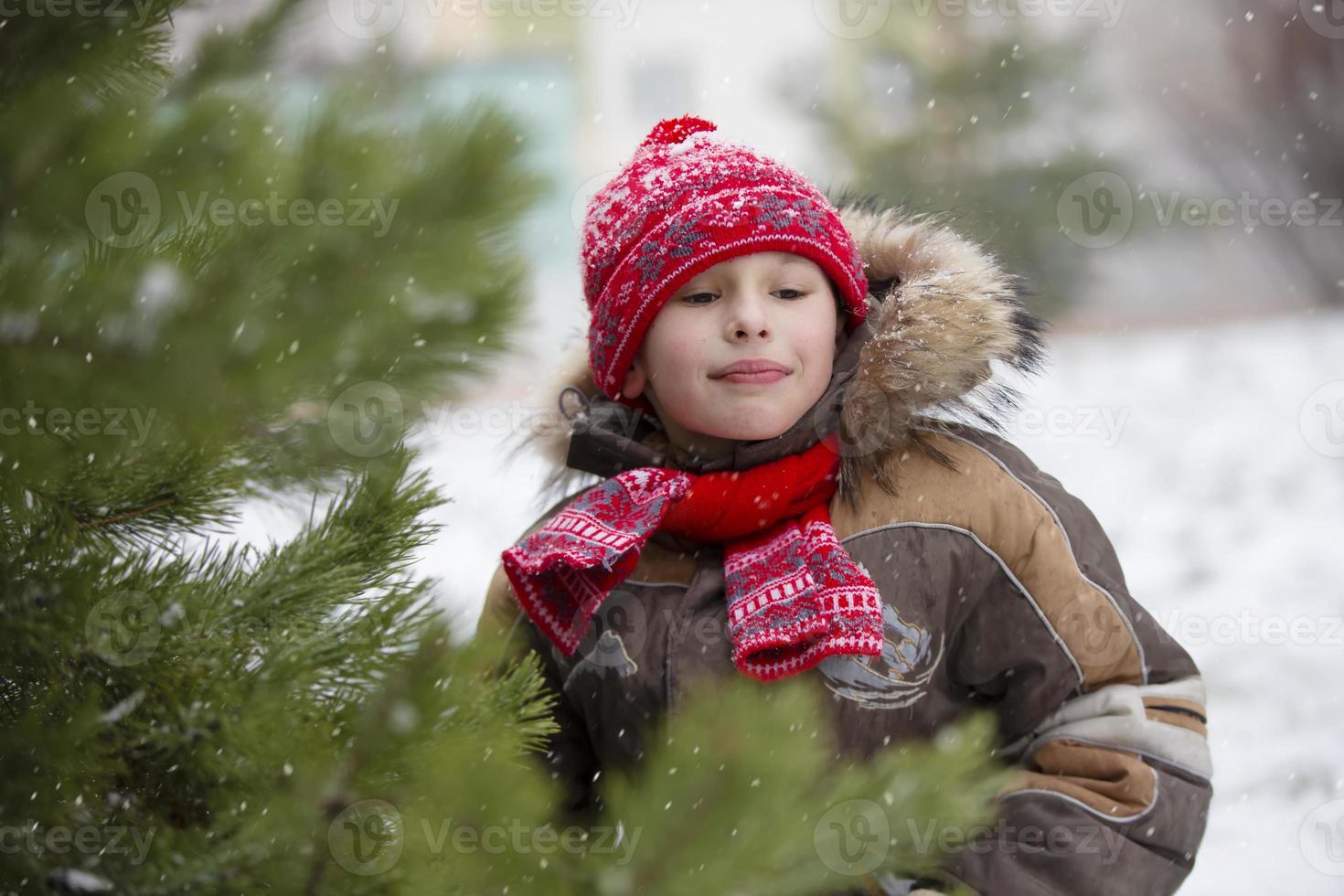 Funny little boy among the snow-covered Christmas trees. Child in winter. photo
