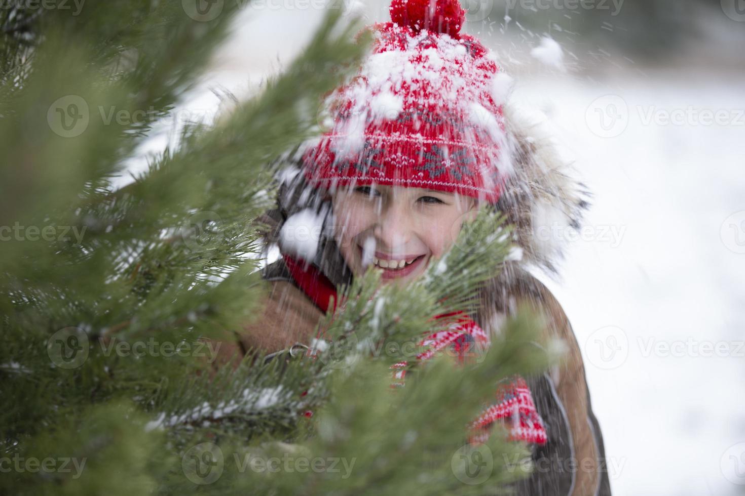 Funny little boy among the snow-covered Christmas trees. Child in winter. photo
