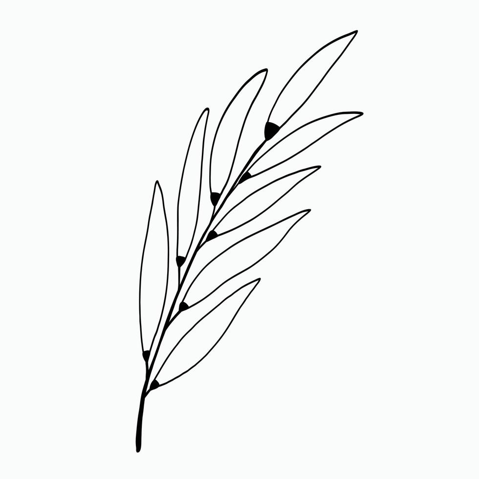 Simplicity floral freehand drawing flat design. vector