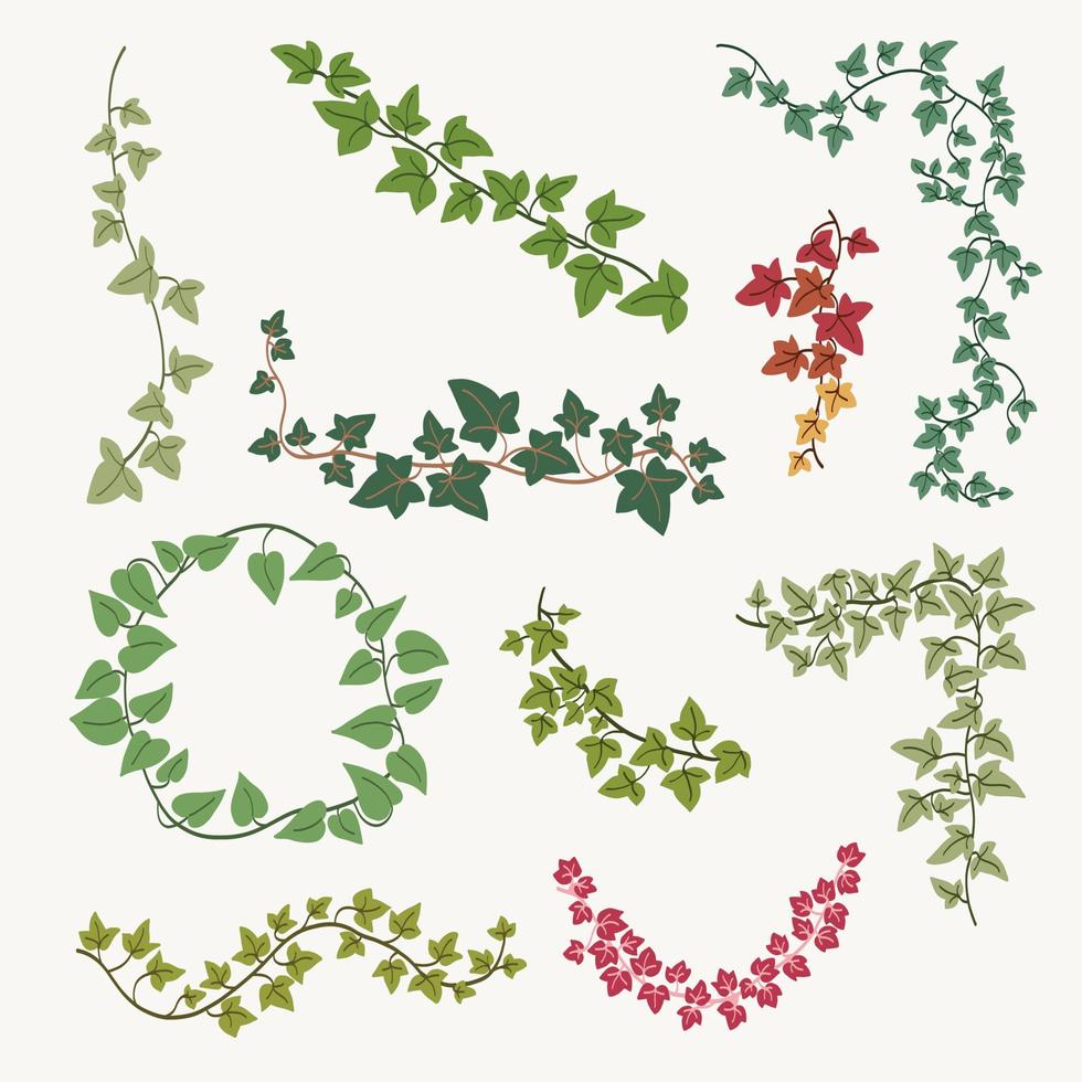 Floral ivy drawing decorative ornament flat design collection. vector